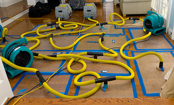Professional Sewage Cleanup technician working in Springvale, ME